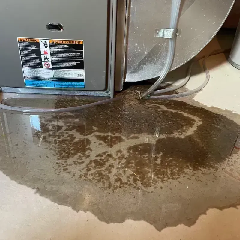 Appliance Leak Cleanup in Velda Village Hills, MO